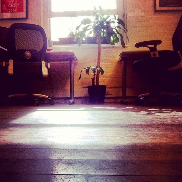 Bright morning at the office